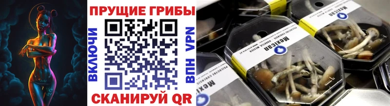 купить наркотики цена  Волгореченск  Псилоцибиновые грибы ЛСД 